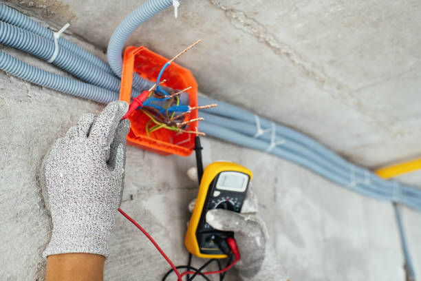 Best Electric Panel Repair  in Galena, IL